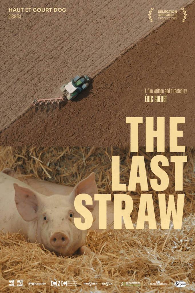 The Last Straw The Last Straw