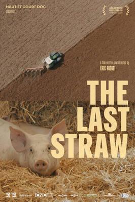 The Last Straw The Last Straw