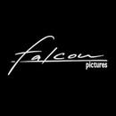 PT Falcon