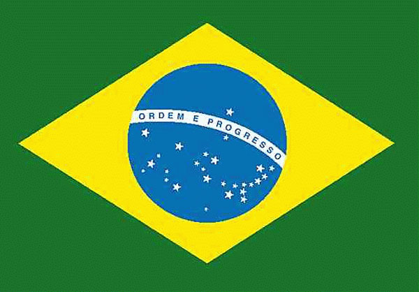 Market Report: Brazil 2001