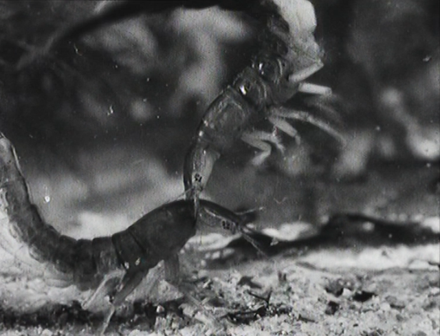 Andr&eacute; Raymond