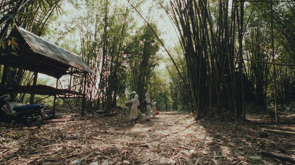 A Distant Call - &copy; Umbra Motion Picture Company / Talamedia / Fabrica Nocturna Cin&eacute;ma