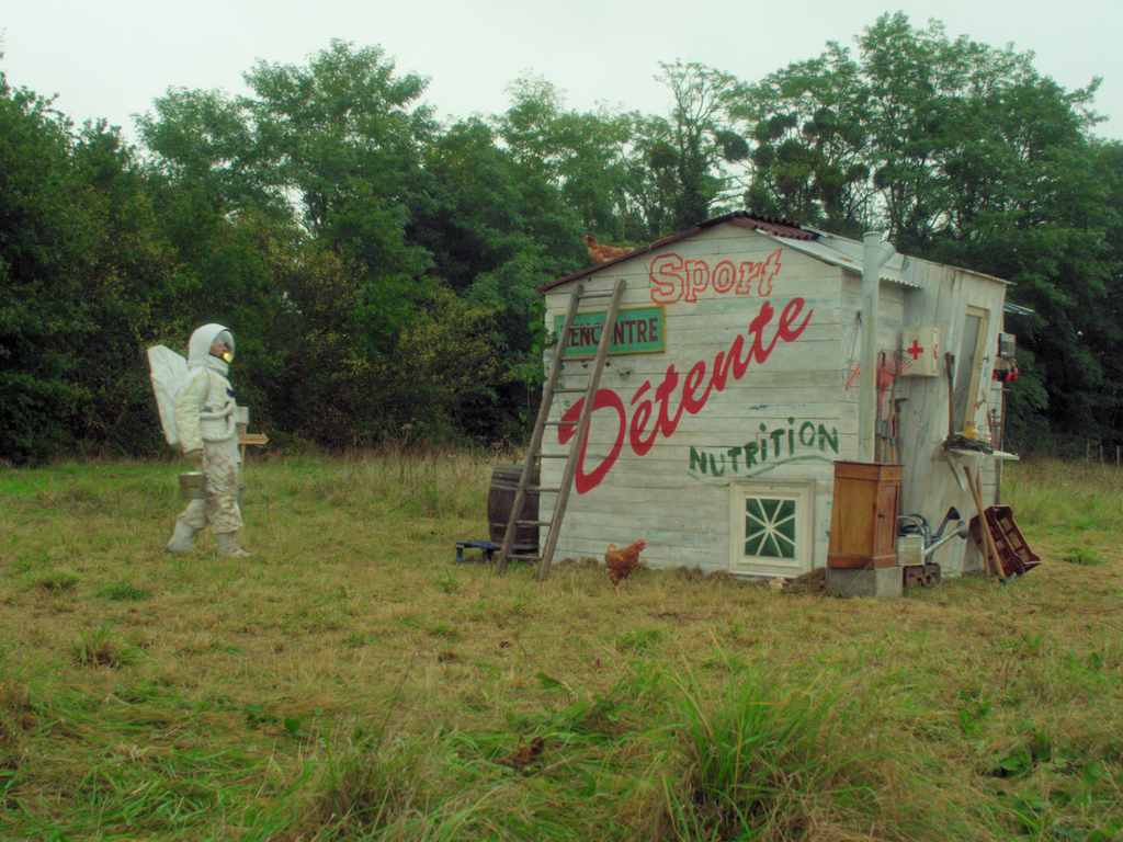 Apollo or The Wild Life Apollo or The Wild Life