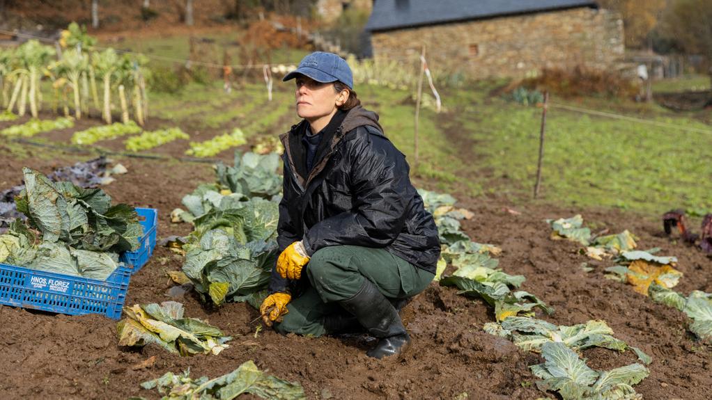 The Beasts - © Lucia Faraig The Beasts - © Lucia Faraig