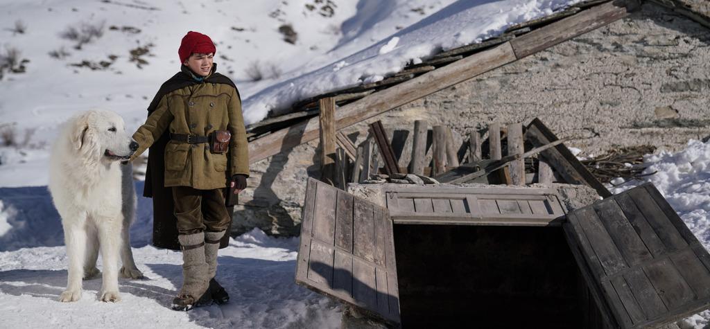 Box Office Mondial Nombre D Entrées