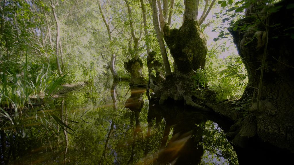 De l'eau jaillit le feu - © Fabien Mazzocco De l'eau jaillit le feu - © Fabien Mazzocco