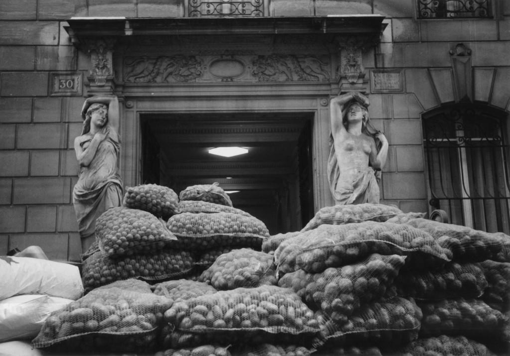 H&eacute;l&egrave;ne Wolf