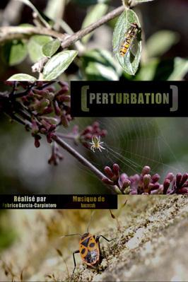 Perturbation Perturbation