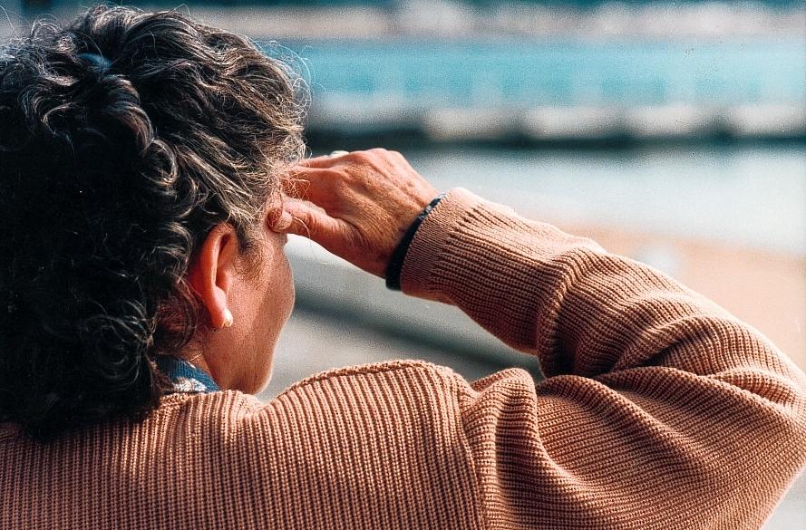 Festival Internacional de Cortometrajes de São Paulo - 1999 Festival Internacional de Cortometrajes de São Paulo - 1999