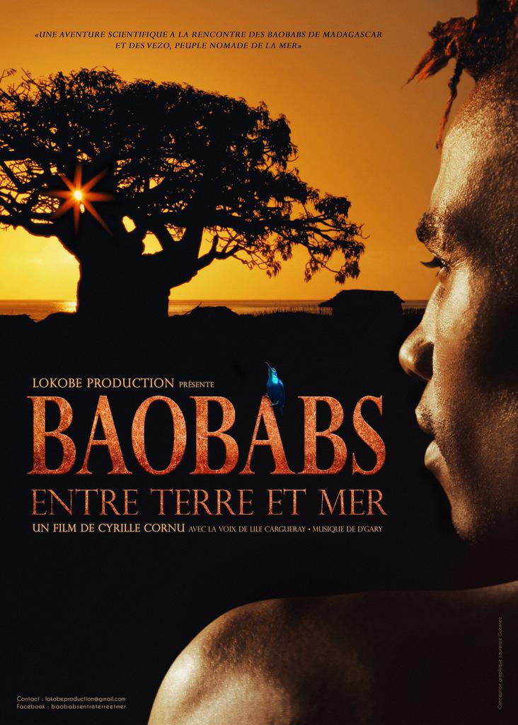 Baobabs entre terre et mer Baobabs entre terre et mer