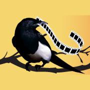 Uppsala International Short Film Festival - 2000 Uppsala International Short Film Festival - 2000