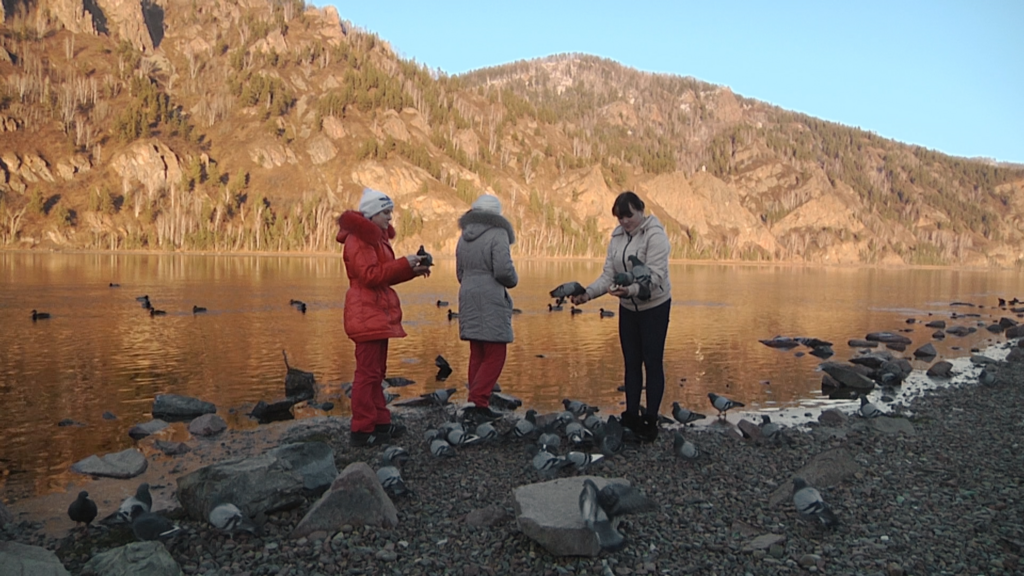 An Ordinary Life An Ordinary Life