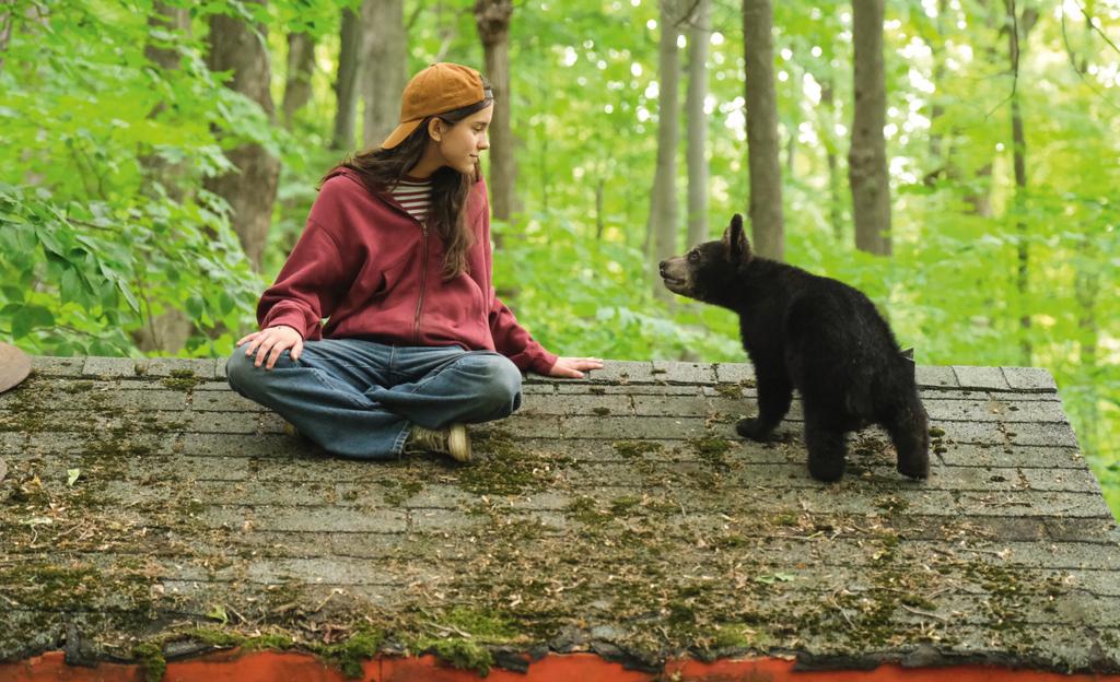 Melody for a Bear - © Bertrand Calmeau Melody for a Bear - © Bertrand Calmeau