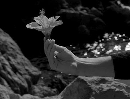 El Testamento de Orfeo El Testamento de Orfeo