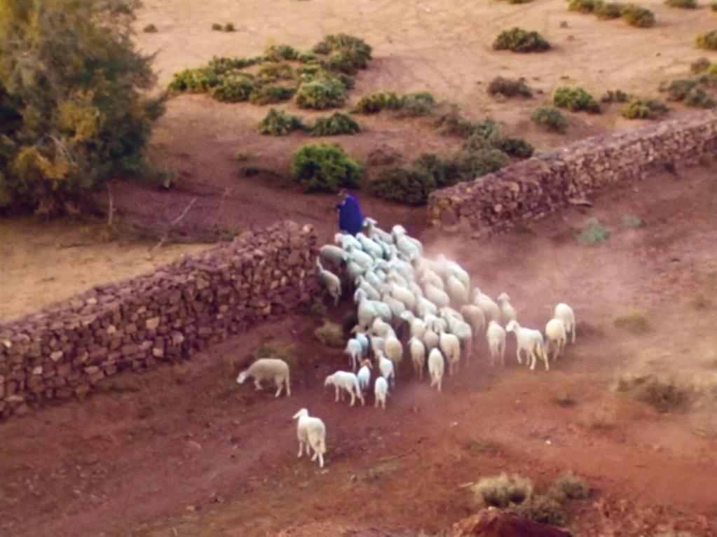 De la conquête De la conquête