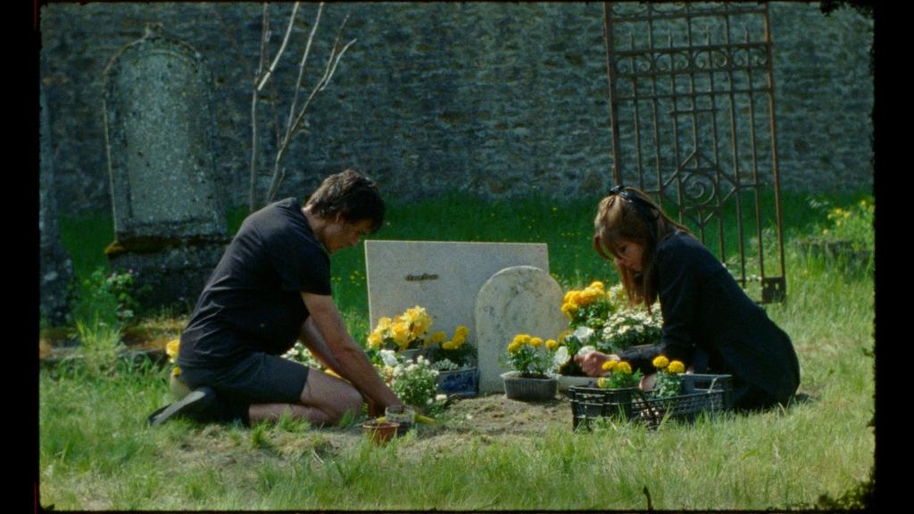 Anapidae (Appelle-moi) Anapidae (Appelle-moi)