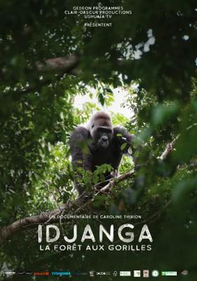 Idjanga, la for&ecirc;t aux gorilles