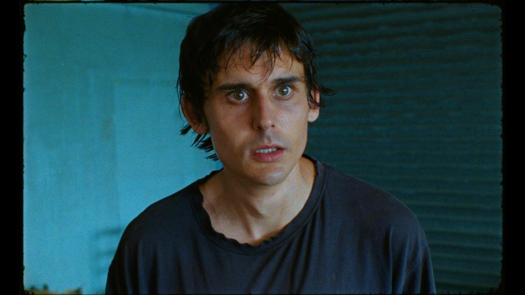 Anapidae (Appelle-moi) Anapidae (Appelle-moi)