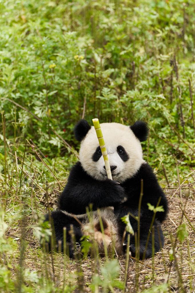 Prune de Maistre - &copy; Cara Cao &copy; 2024 MAI JUIN PRODUCTIONS - GAUMONT - FRANCE 2 CINÉMA