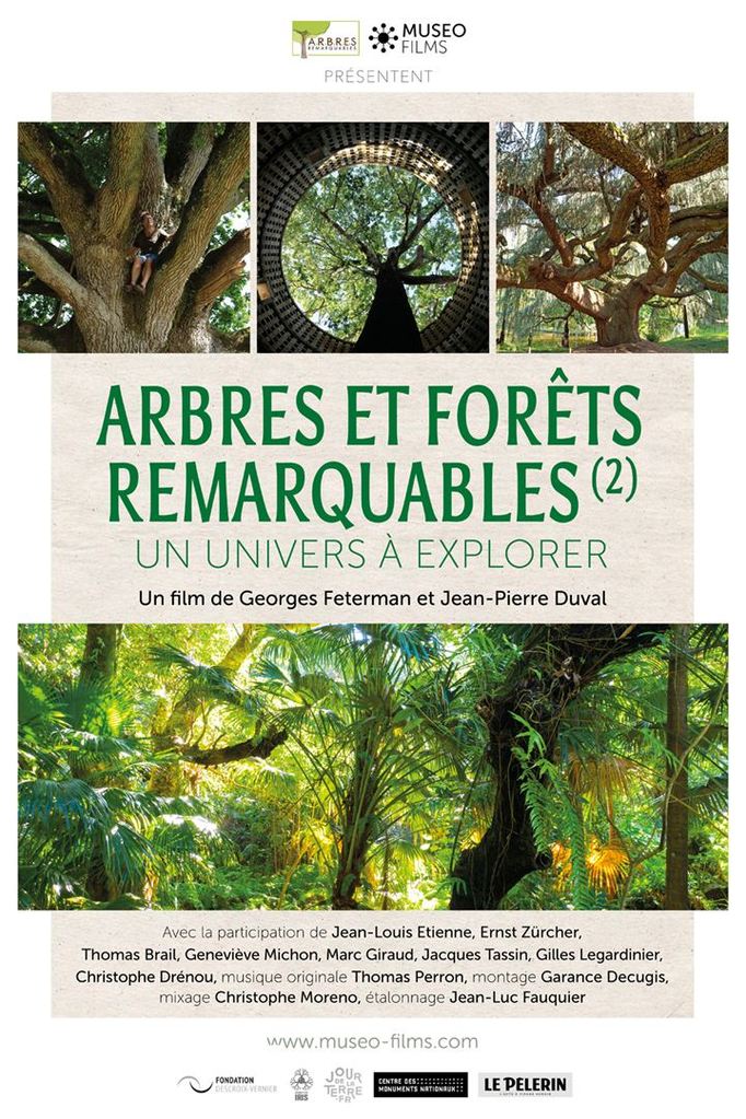 Arbres et forêts remarquables, un univers à explorer Arbres et forêts remarquables, un univers à explorer