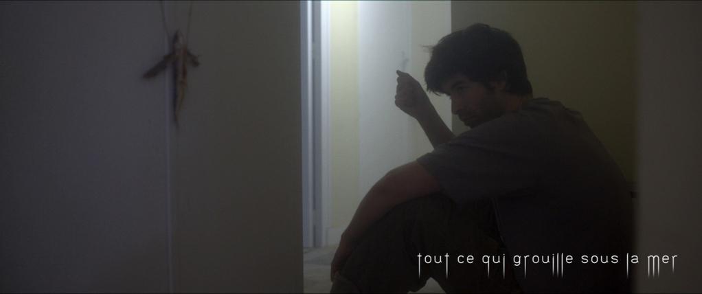 Tout ce qui grouille sous la mer Tout ce qui grouille sous la mer