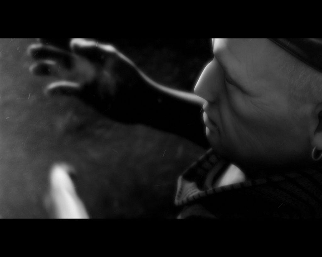 Festival Internacional de Curtas de São Paulo - 2008 Festival Internacional de Curtas de São Paulo - 2008