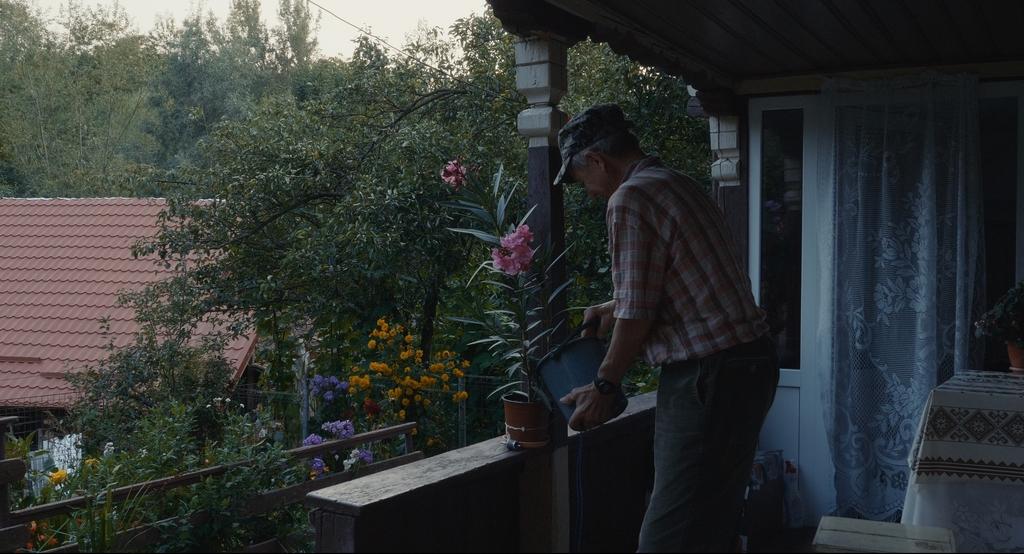 Going North Going North