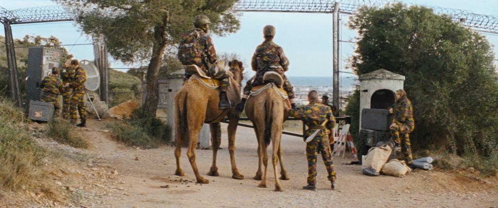 Z.A.R (Zone à réparer) Z.A.R (Zone à réparer)