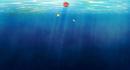 Funny Fish Funny Fish