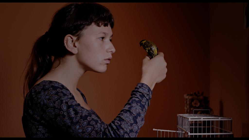 Festival de Cine de Gotemburgo - 2018 Festival de Cine de Gotemburgo - 2018