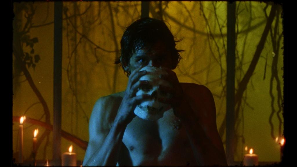 Anapidae (Appelle-moi) Anapidae (Appelle-moi)