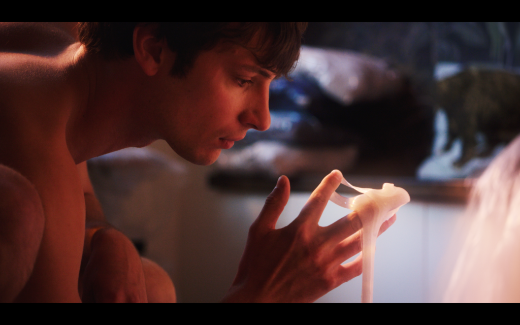 The Bedbug The Bedbug