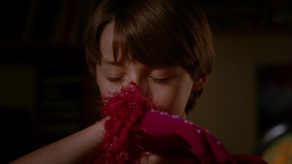 Cinema Jove - 2013 Cinema Jove - 2013