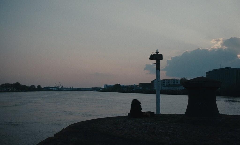 Ti lamp ti lamp Ti lamp ti lamp