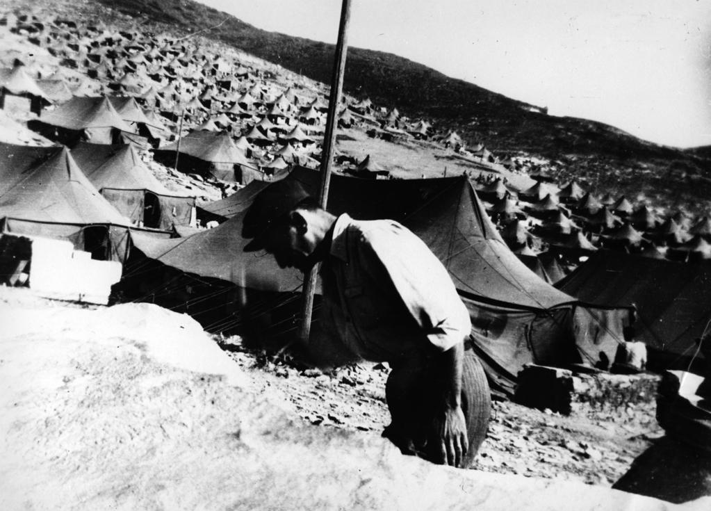 Comme des lions de pierre à l'entrée de la nuit Comme des lions de pierre à l'entrée de la nuit