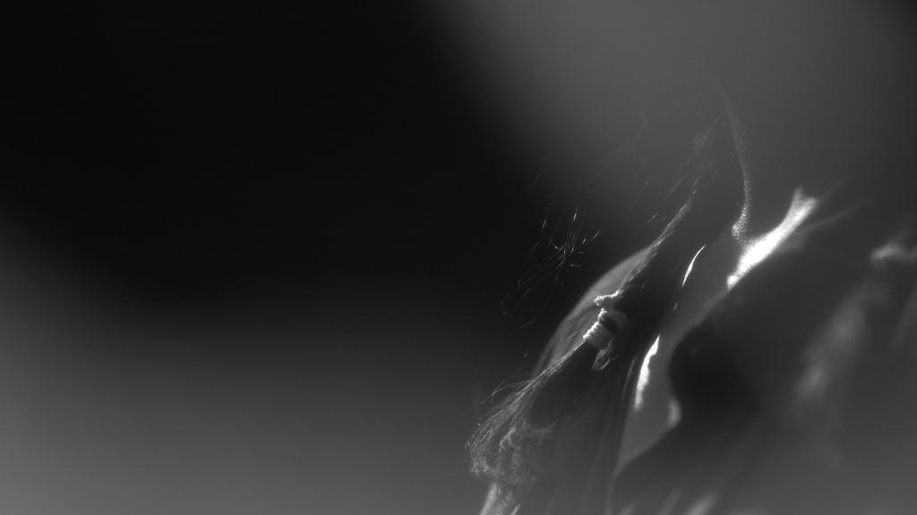 The Sun Will Rise The Sun Will Rise