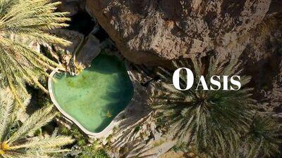 Oasis - &copy; ZED - ARTE
