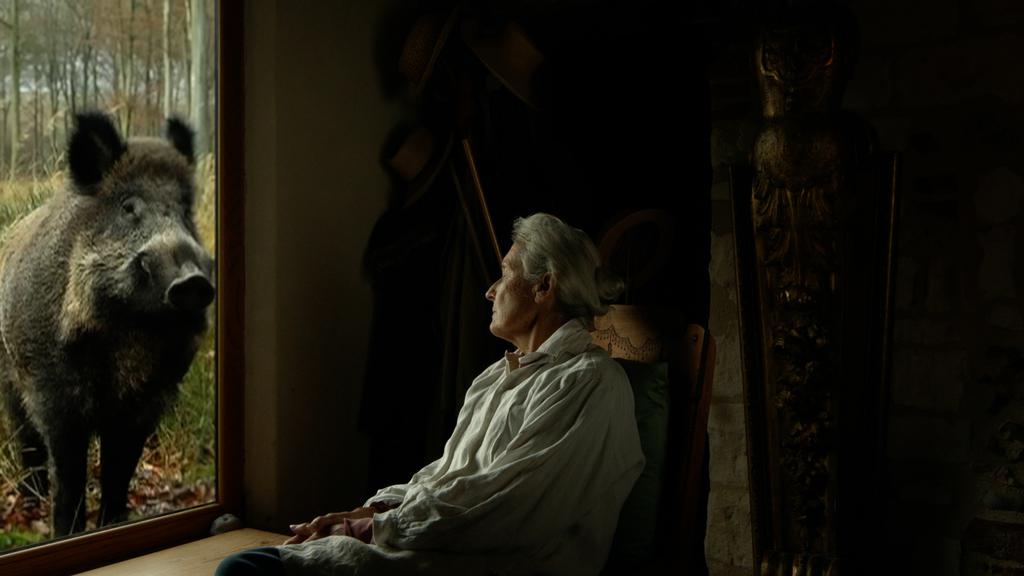 Vienna (Viennale) - International Film Festival - 2019