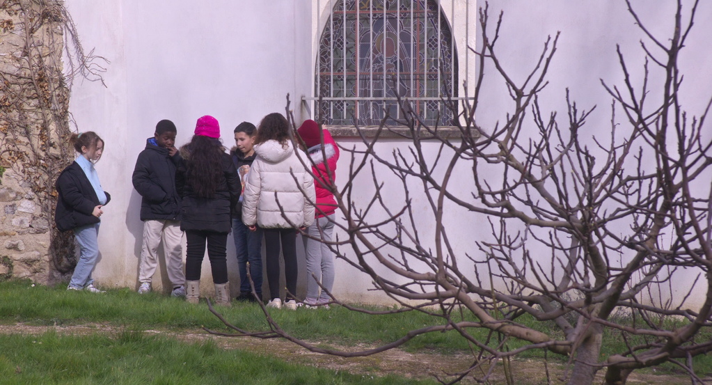 La Langue de leurs r&ecirc;ves