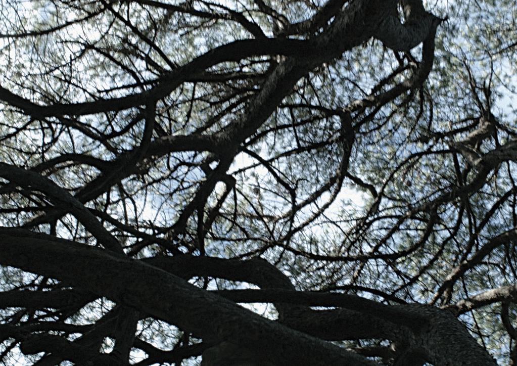 We Had the Day Bonsoir We Had the Day Bonsoir