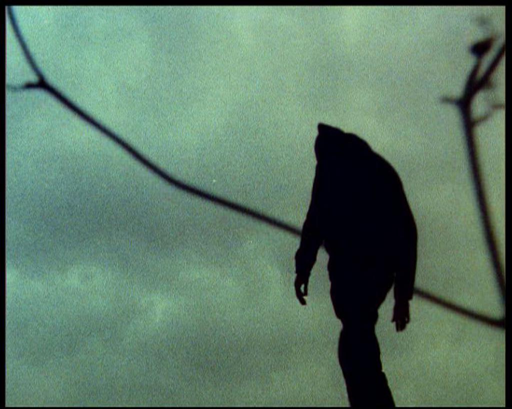 Mostra - Festival Internacional de Cine de São Paulo - 2023 Mostra - Festival Internacional de Cine de São Paulo - 2023