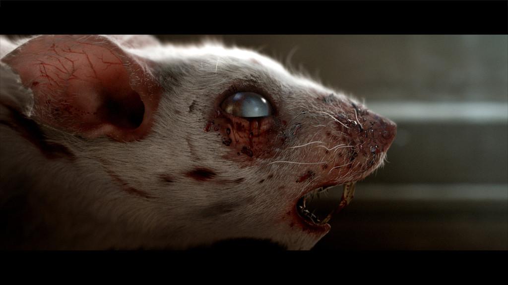 Festival du film d'horreur et fantastique de San Sebastián - 2016 Festival du film d'horreur et fantastique de San Sebastián - 2016