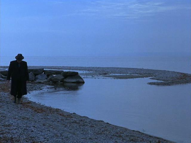 French Film Festival in Japan - 1994