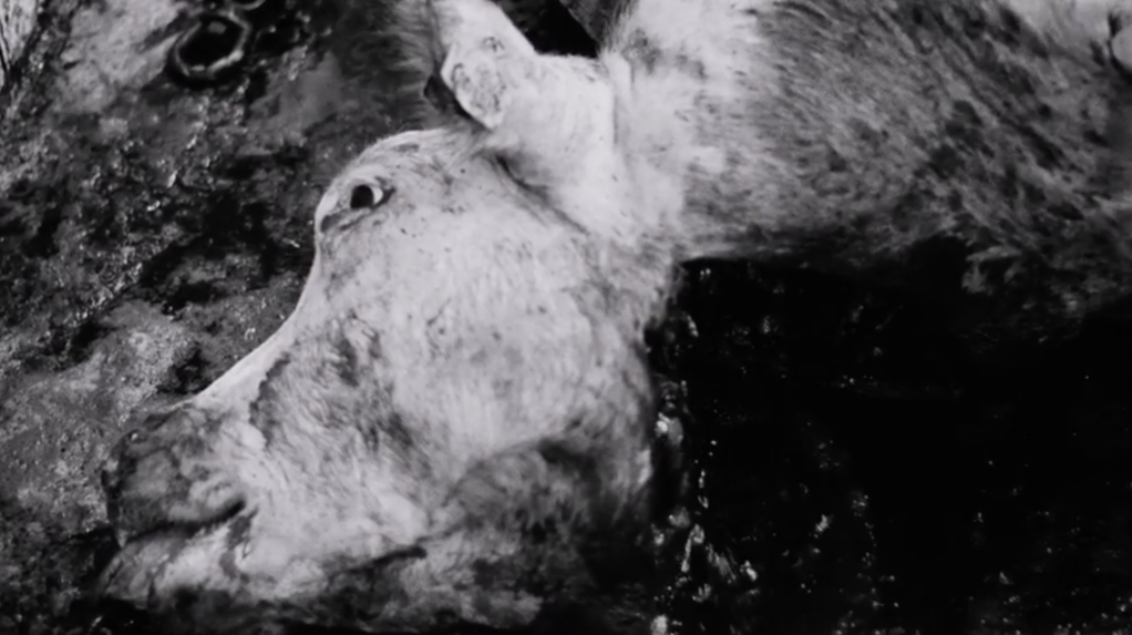 Conséquences de la réalité des morts Conséquences de la réalité des morts