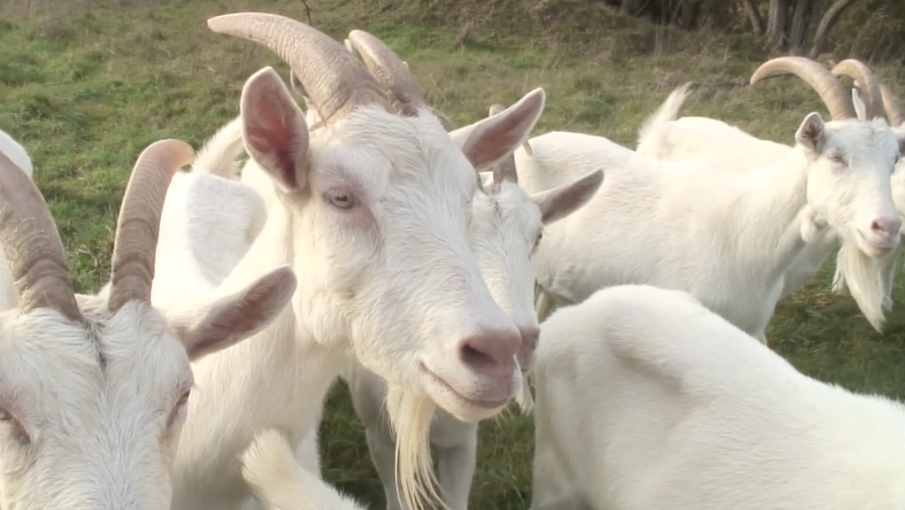 N'importe qui N'importe qui