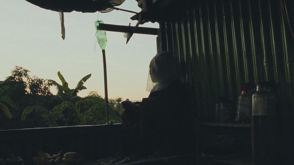 A Distant Call - &copy; Umbra Motion Picture Company / Talamedia / Fabrica Nocturna Cin&eacute;ma