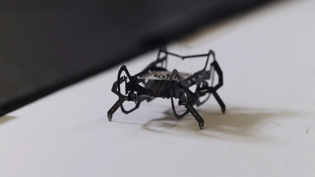 The Origami Code The Origami Code