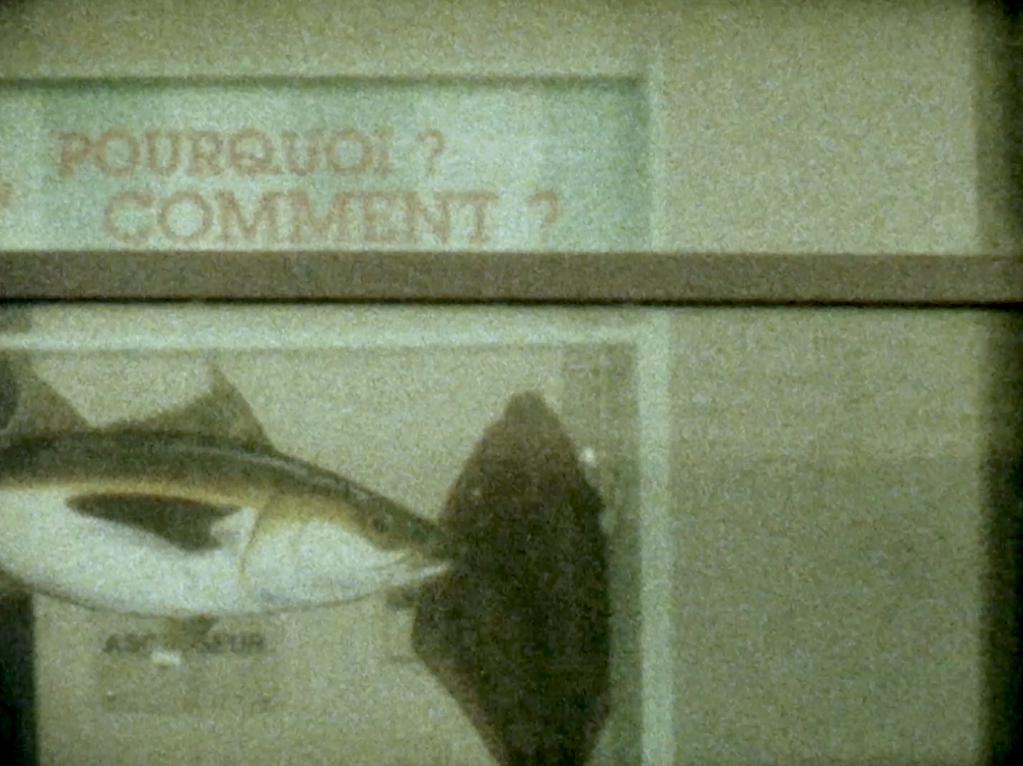 Internationale Kurzfilmtage Winterthur - 2016 Internationale Kurzfilmtage Winterthur - 2016