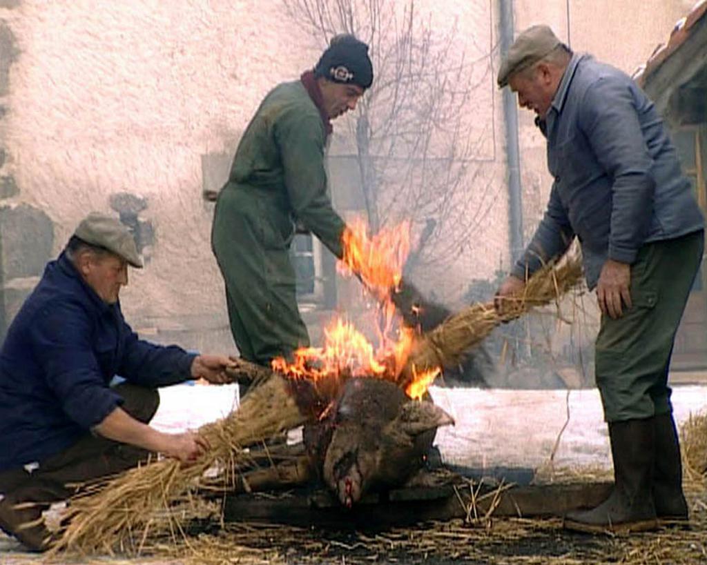 Le Jour qu'on saigne Le Jour qu'on saigne