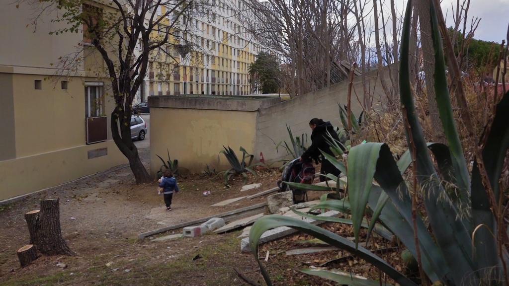 Over the Walls Over the Walls